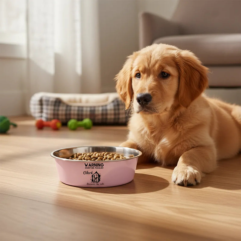 Custom Stainless Steel Pet Bowl - Warning, dont be fooled