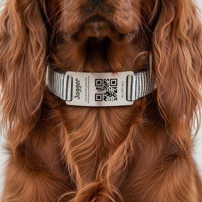 Personalized QR Code Dog Collar & ID Tag – Scan for Owner Info