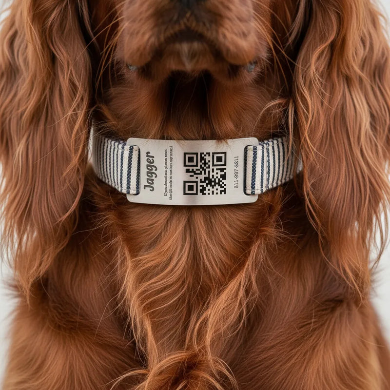 Personalized QR Code Dog Collar & ID Tag – Scan for Owner Info