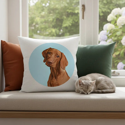 Custom Cartoon Pillow