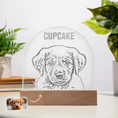 Custom Acrylic Dome Plaque - Pencil Draw