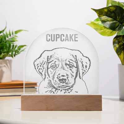 Custom Acrylic Dome Plaque - Pencil Draw