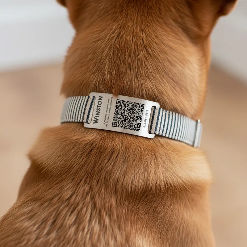 Personalized QR Code Dog Collar & ID Tag – Scan for Owner Info
