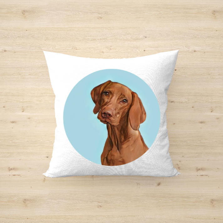 Custom Cartoon Pillow